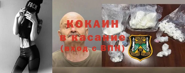 прущие грибы Магас