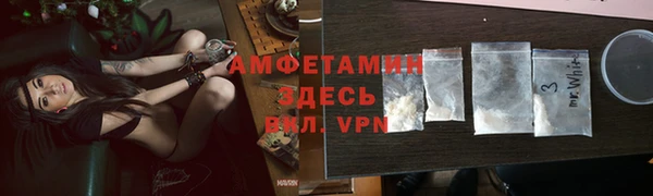 прущие грибы Магас