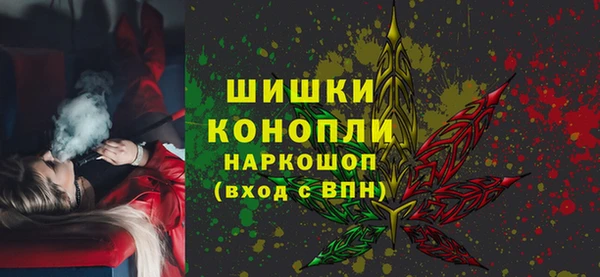 прущие грибы Магас