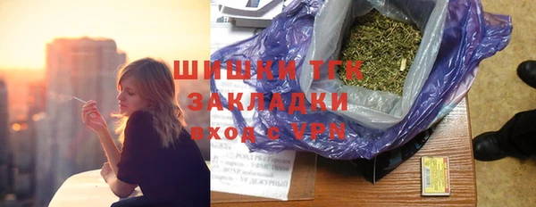 прущие грибы Магас
