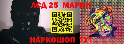 apvp Гатчина