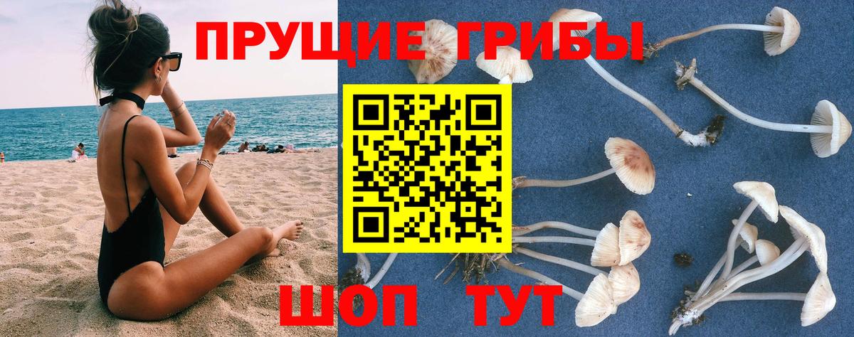 Псилоцибиновые грибы прущие грибы Торжок